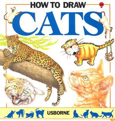 How to draw cats