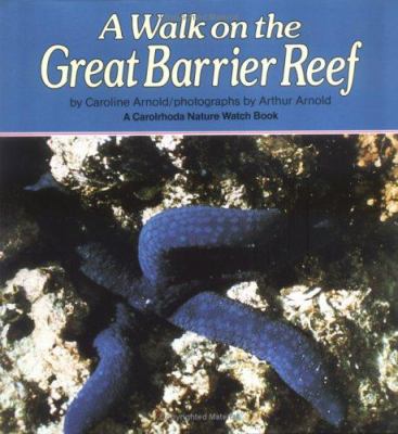 A walk on the Great Barrier Reef