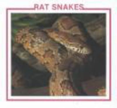 Rat snakes