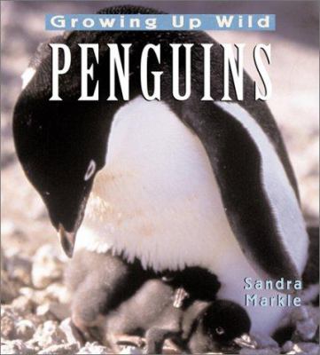 Growing up wild : penguins