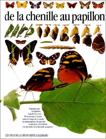 De la chenille au papillon