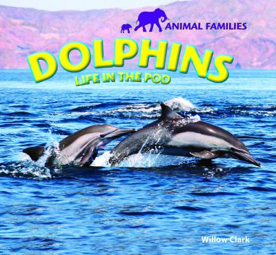 Dolphins : life in the pod