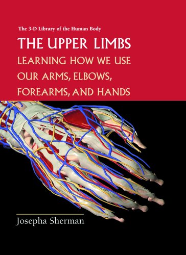 The upper limbs : learning how we use our arms, elbows, forearms, and hands