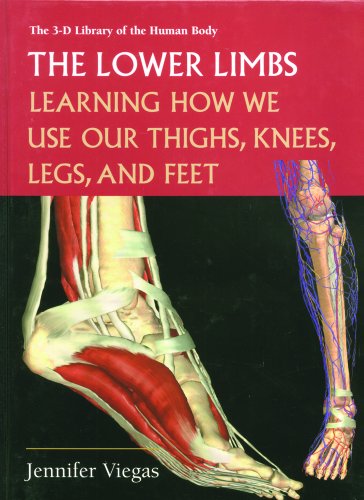 The lower limbs : learning how we use our thighs, knees, legs, and feet