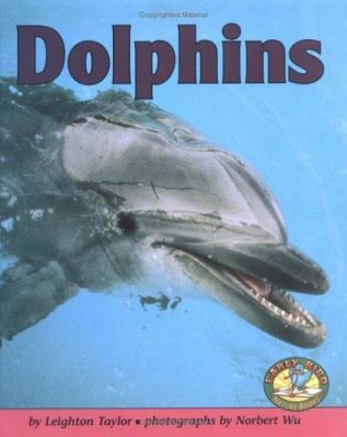 Dolphins