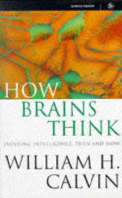 How brains think : evolving intelligence, then and now