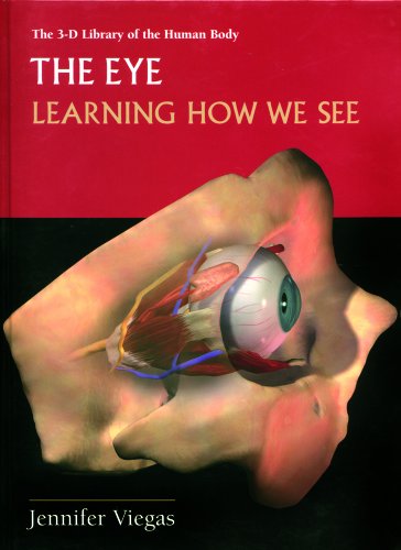 The eye : learning how we see