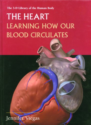 The heart : learning how our blood circulates