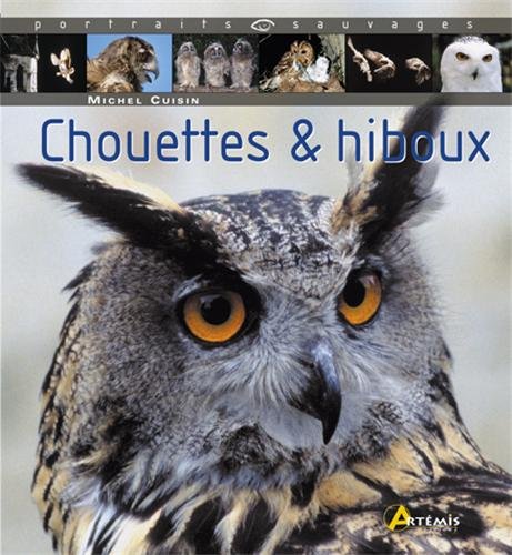 Chouettes & hiboux