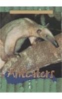 Anteaters