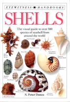 Shells