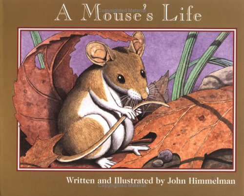A mouse's life