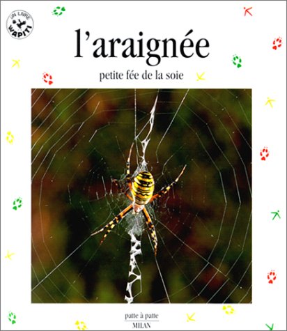 L'araignée : petite fée de la soie