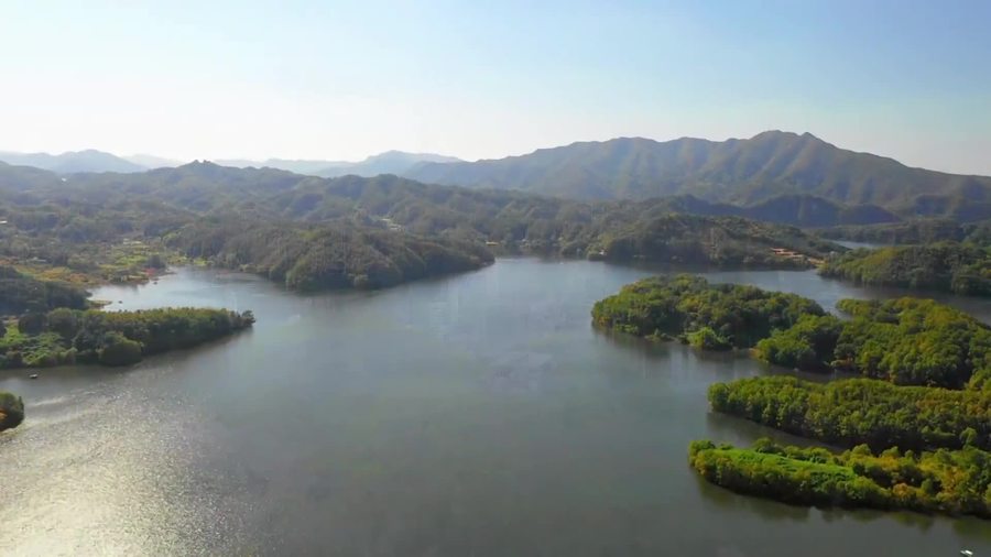 Hannah's Korean Salmon